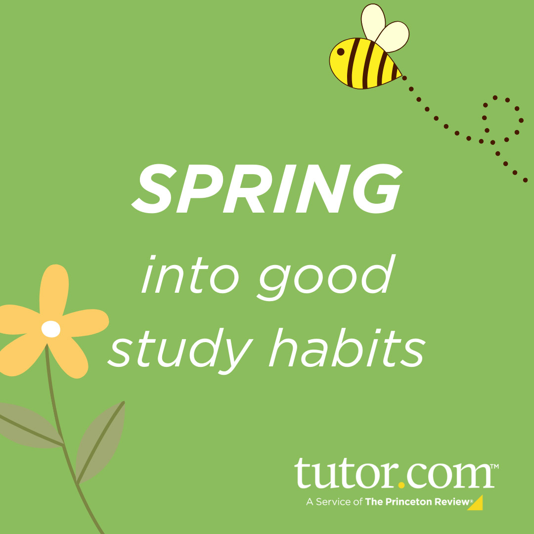 Image of a bee and flower that says, "SPRING into good study habits, Tutor.com: A Service of The Princeton Review®"